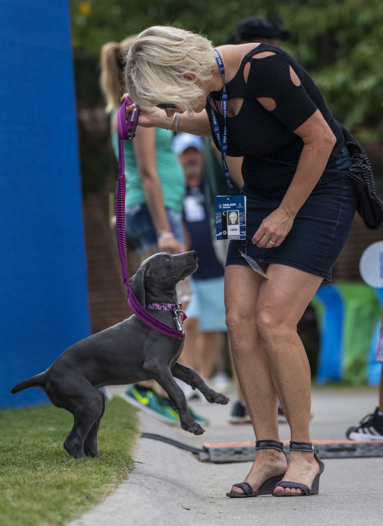 Wyndham Championship Round 4